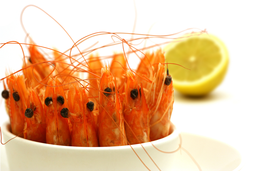 Pescados congelados