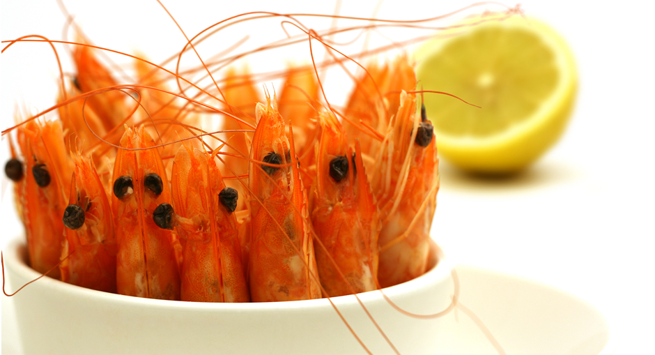 Producto del mar congelado